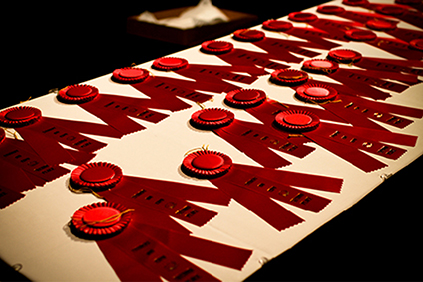 Several red winner's ribbons lie on a white table.