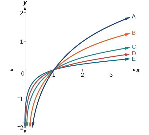 Graph showing five logarithmic functions labeled A through E on the same coordinate plane, all passing through the point (1, 0). Each curve has a vertical asymptote at x = 0 and increases to the right at different rates. Curve A rises the fastest and curve E rises the slowest, with B, C, and D in between in decreasing order of steepness.