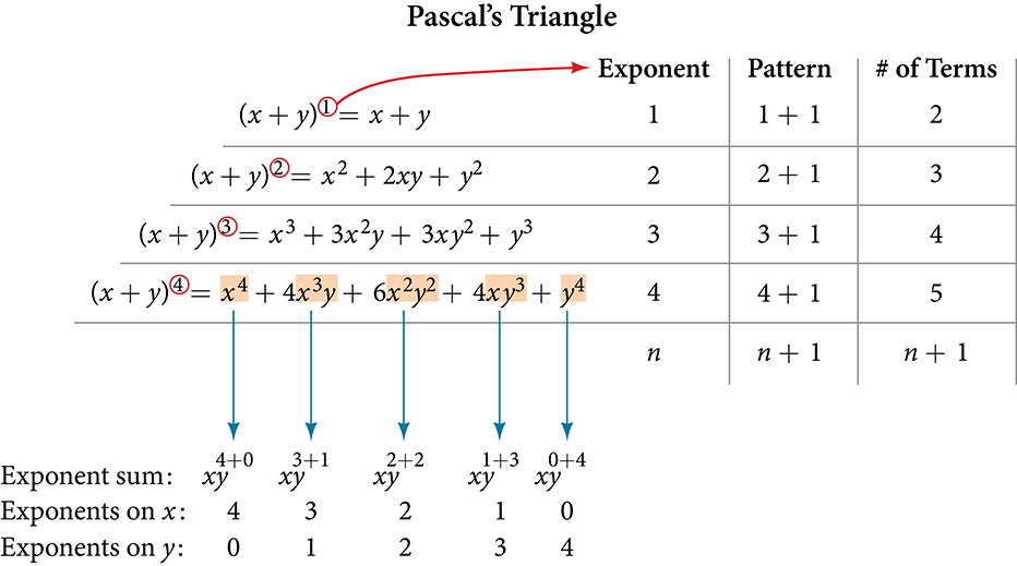 Diagram showing binomial expansion patterns for (x + y) to the first through fourth powers. A table lists each expansion, its exponent n, and the number of terms (n+1). Below, arrows connect the terms of (x + y)^4 to their exponent pairs, showing that the exponents on x decrease from 4 to 0 while the exponents on y increase from 0 to 4, and each term has a combined degree of 4.